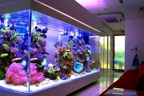 Hanging Garden 1