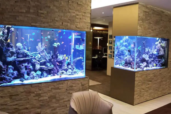 Ý nghĩa của việc chọn hướng bể cá đẹp