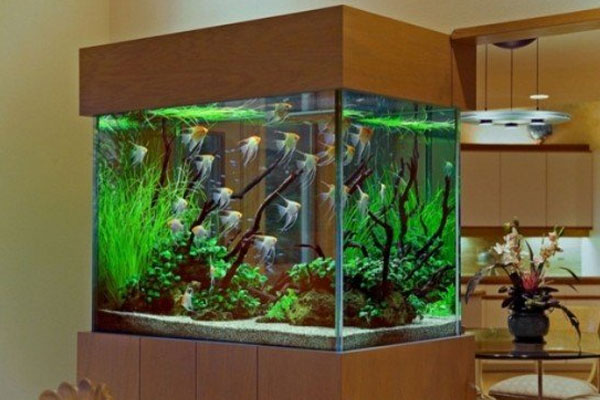Hanging Garden 1